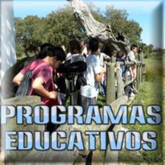 programas educativos