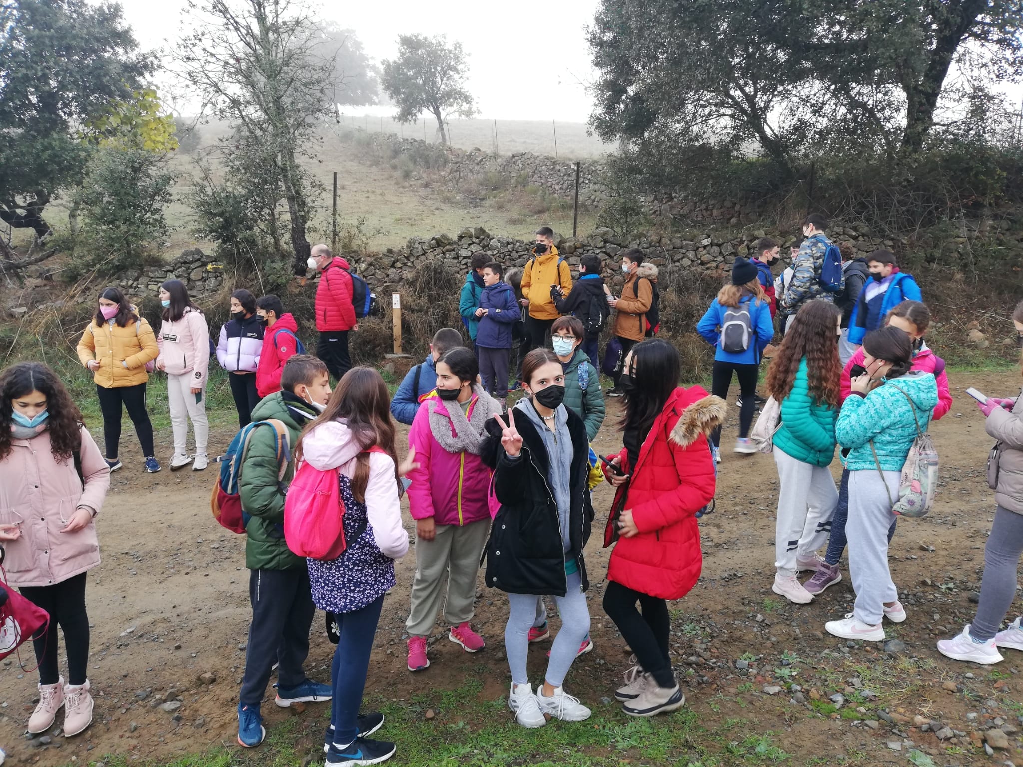 tentudia9
