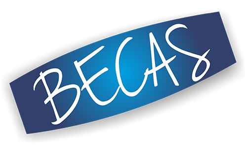 becas anecipn